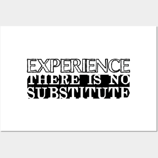 Experience There Is No Substitute Posters and Art